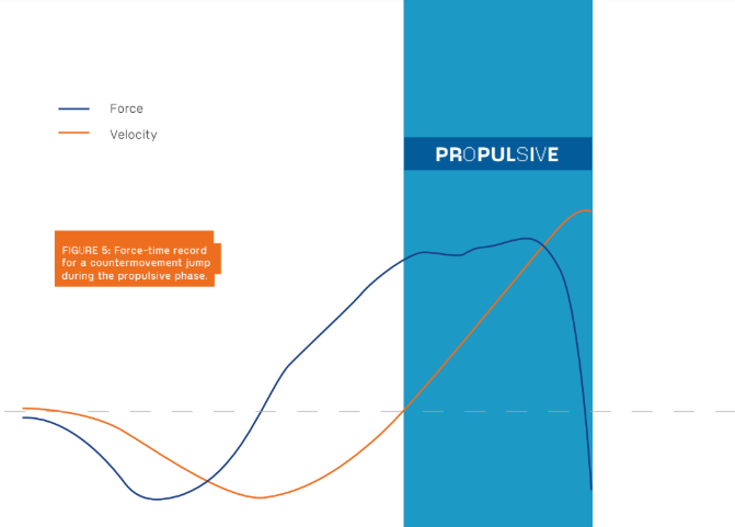 Propulsive Phase (Concentric Push-Off)