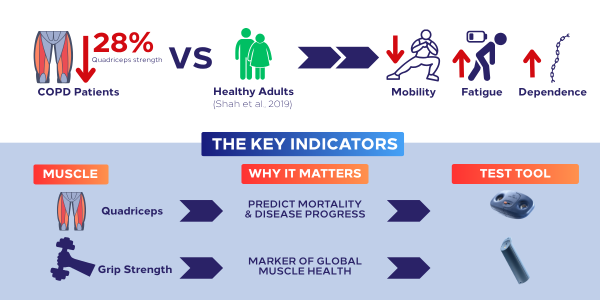 measure muscle strength in copd infographic