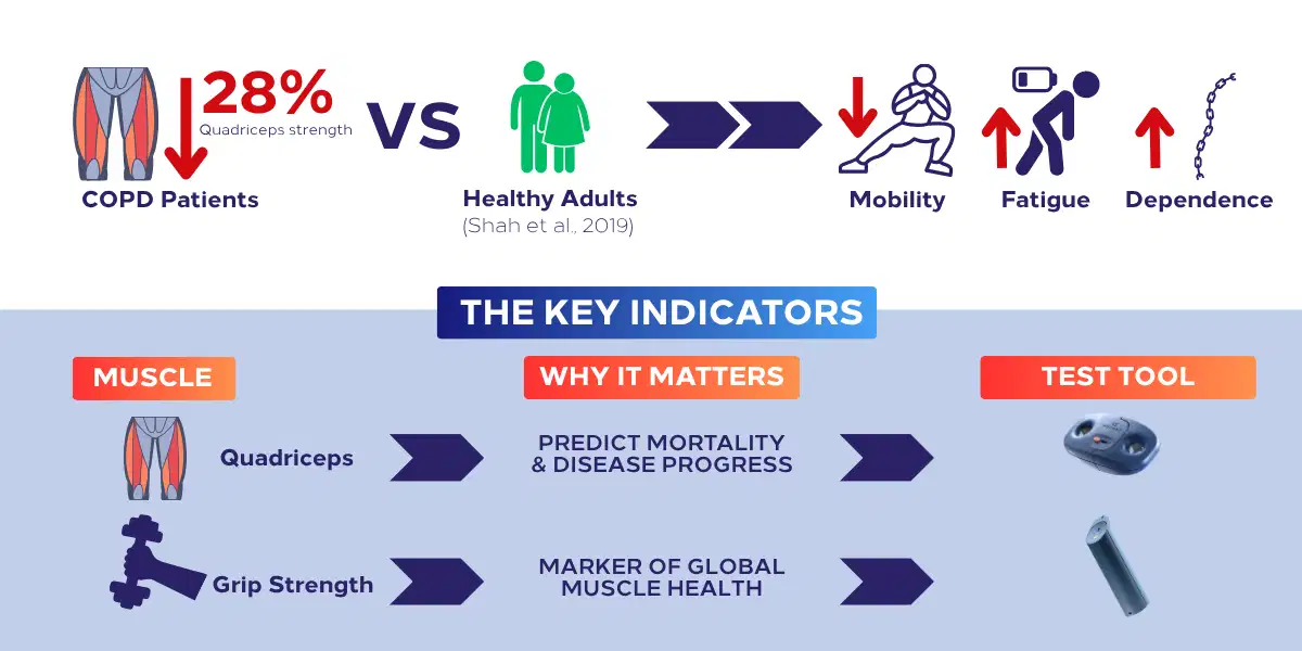 Why Assessing Muscle Strength in COPD Patients Is a Game-Changer in Respiratory Rehabilitation 1 Infographic showing muscle strength loss and assessment metrics in COPD patients