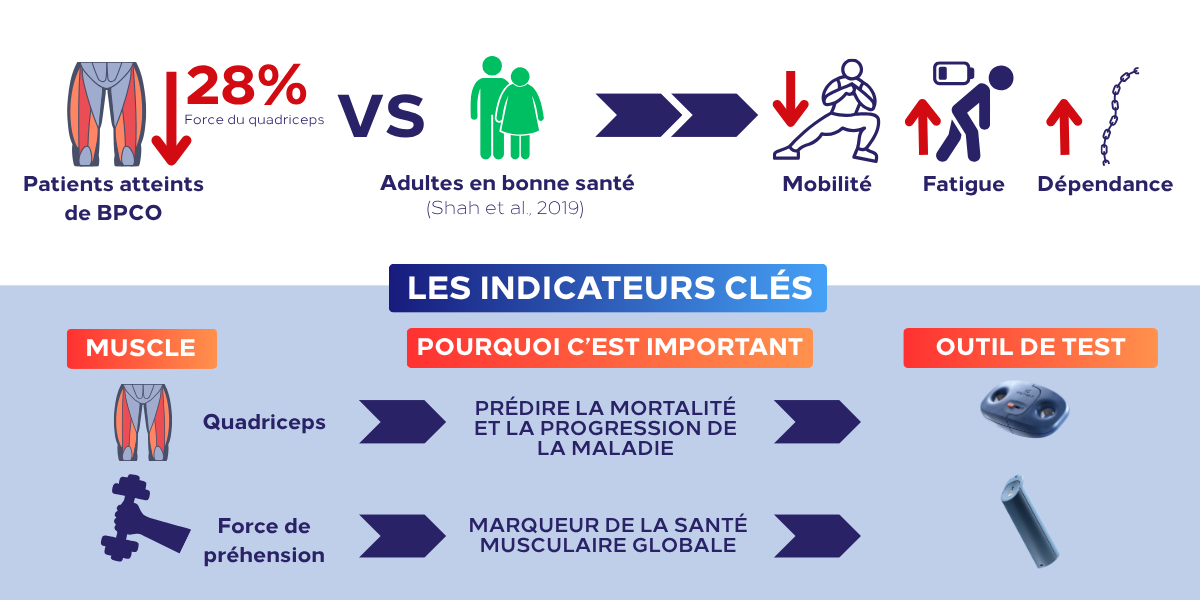 mesurer la force musculaire dans la bpco infographie