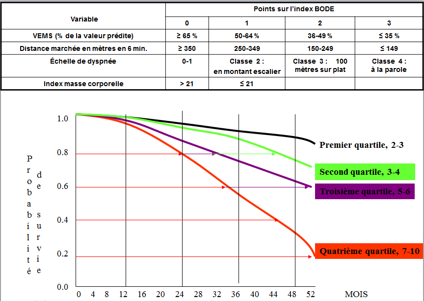 Graphique de la probabilité de survie selon les quartiles de l'index BODE chez les patients BPCO, accompagné du tableau des points de l'index