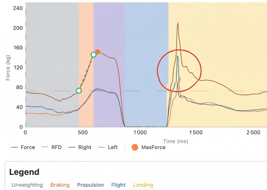 countermovement jump phase