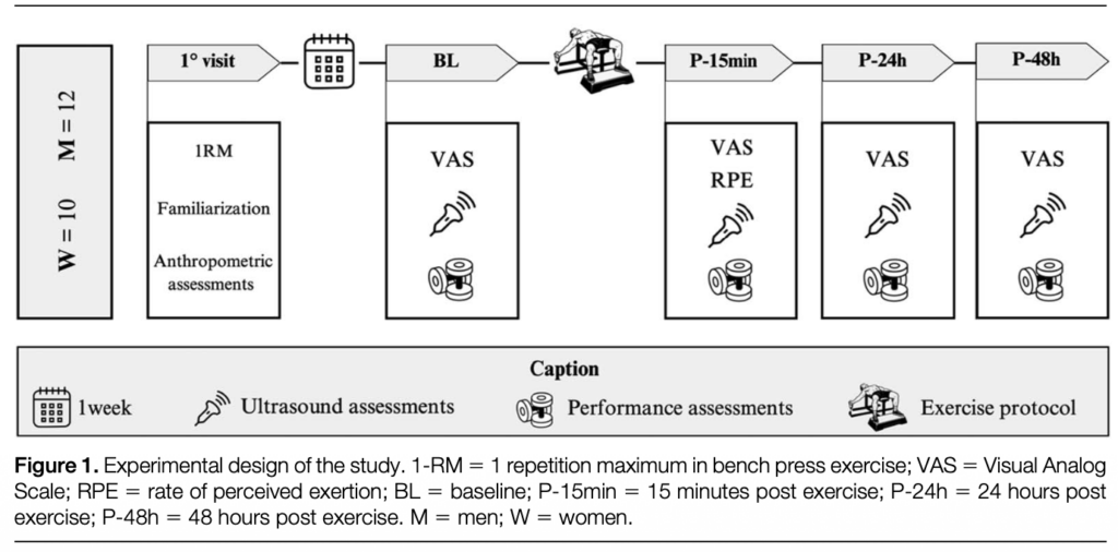 Study Design How Researchers Analyzed Recovery After Isometric Exercise