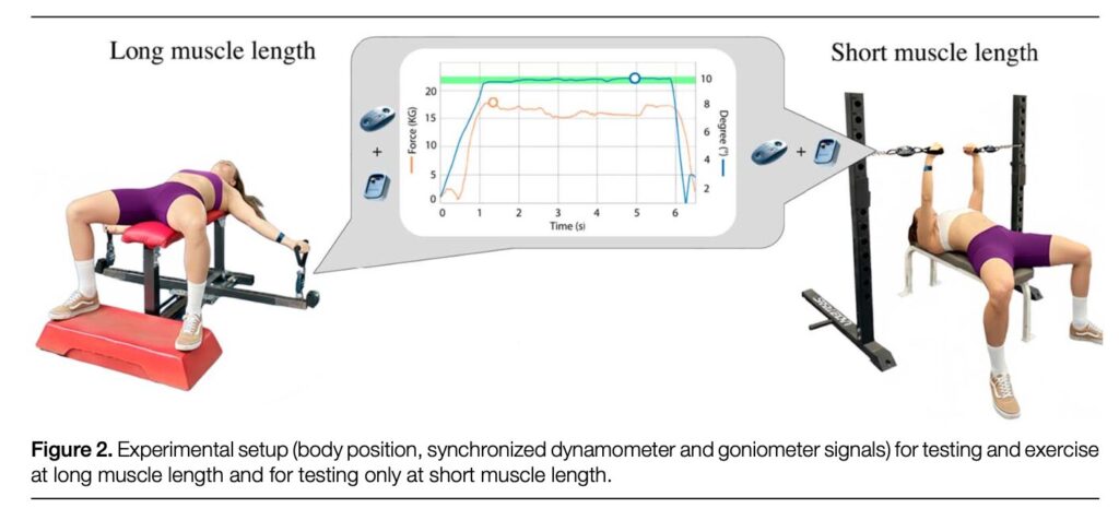 experimental setup of the study at multiple time points, from immediately post-exercise through 48 hours of recovery